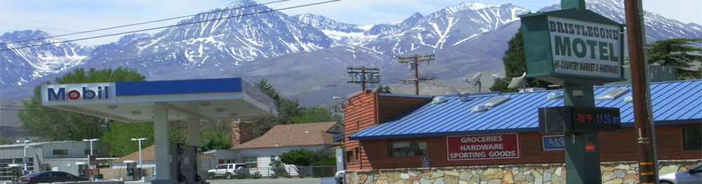 Bristlecone Motel Big Pine Bagian luar foto