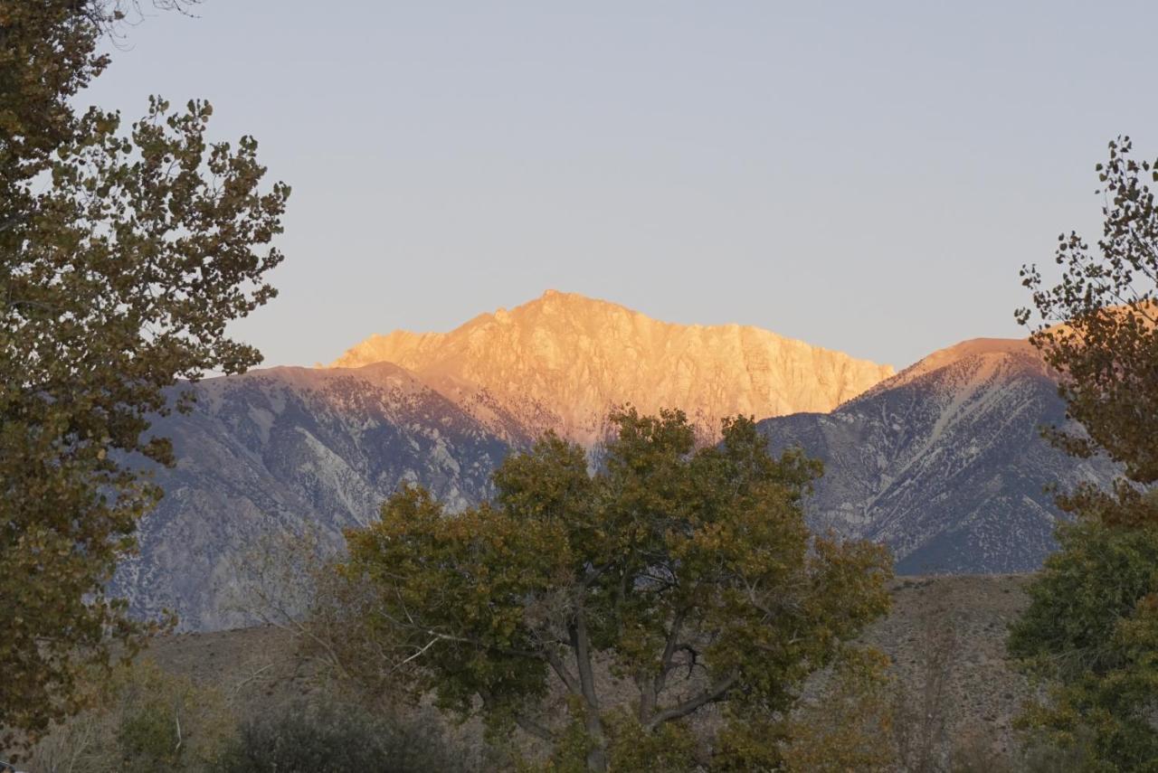 Bristlecone Motel Big Pine Bagian luar foto